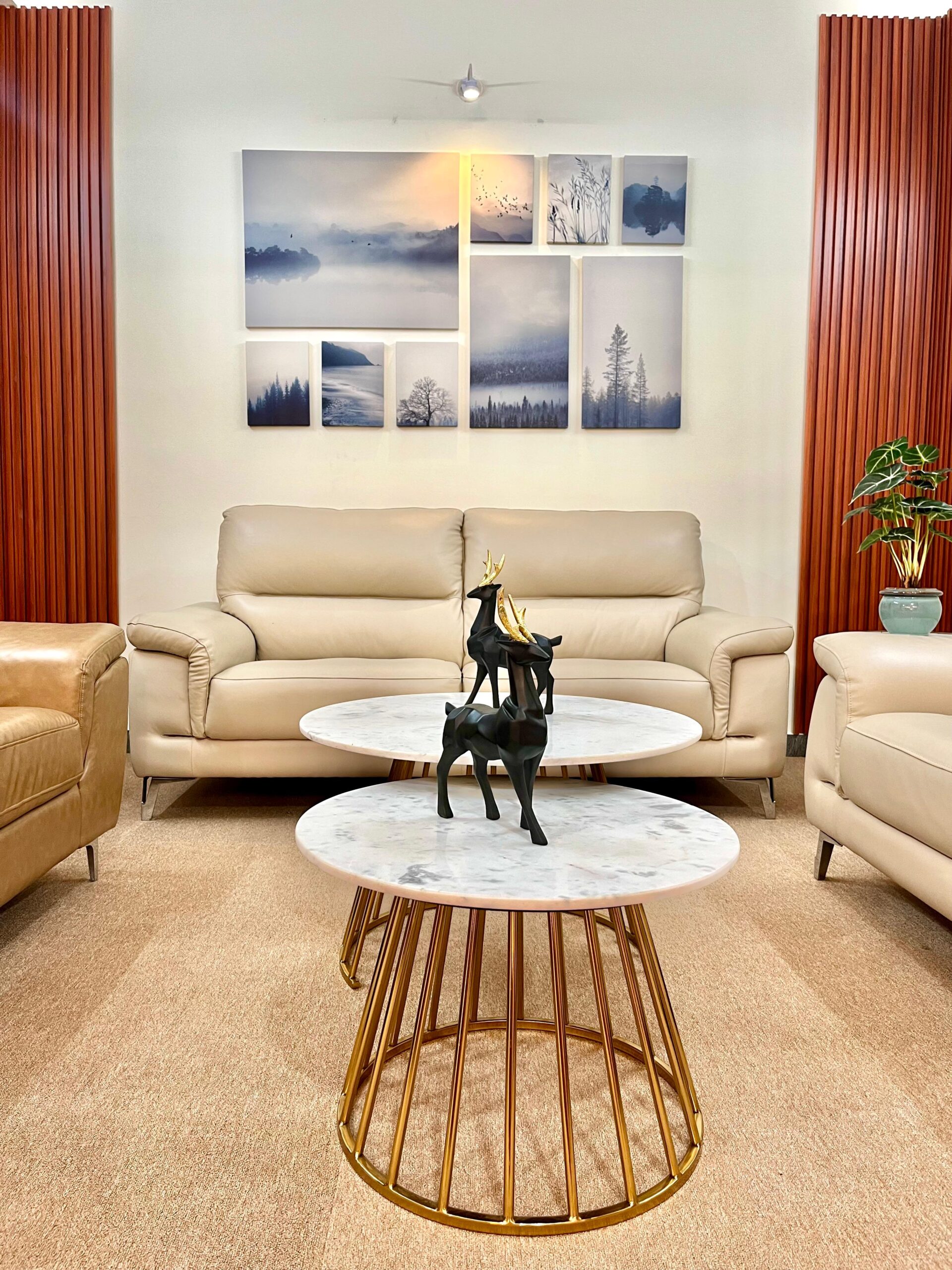 WhatsApp Image 2026-02-25 at 3.28.17 PM