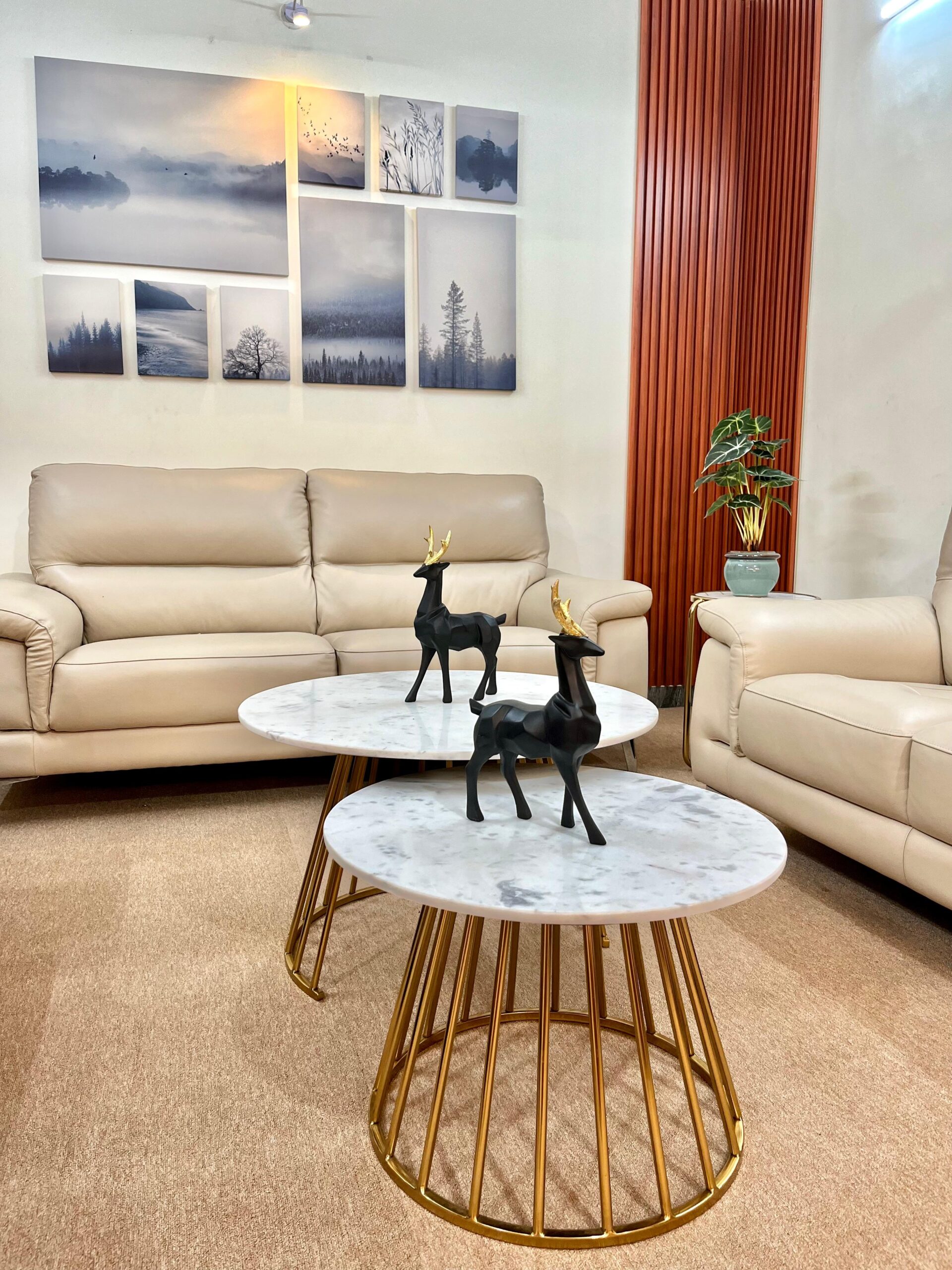 WhatsApp Image 2026-02-25 at 3.28.18 PM (1)