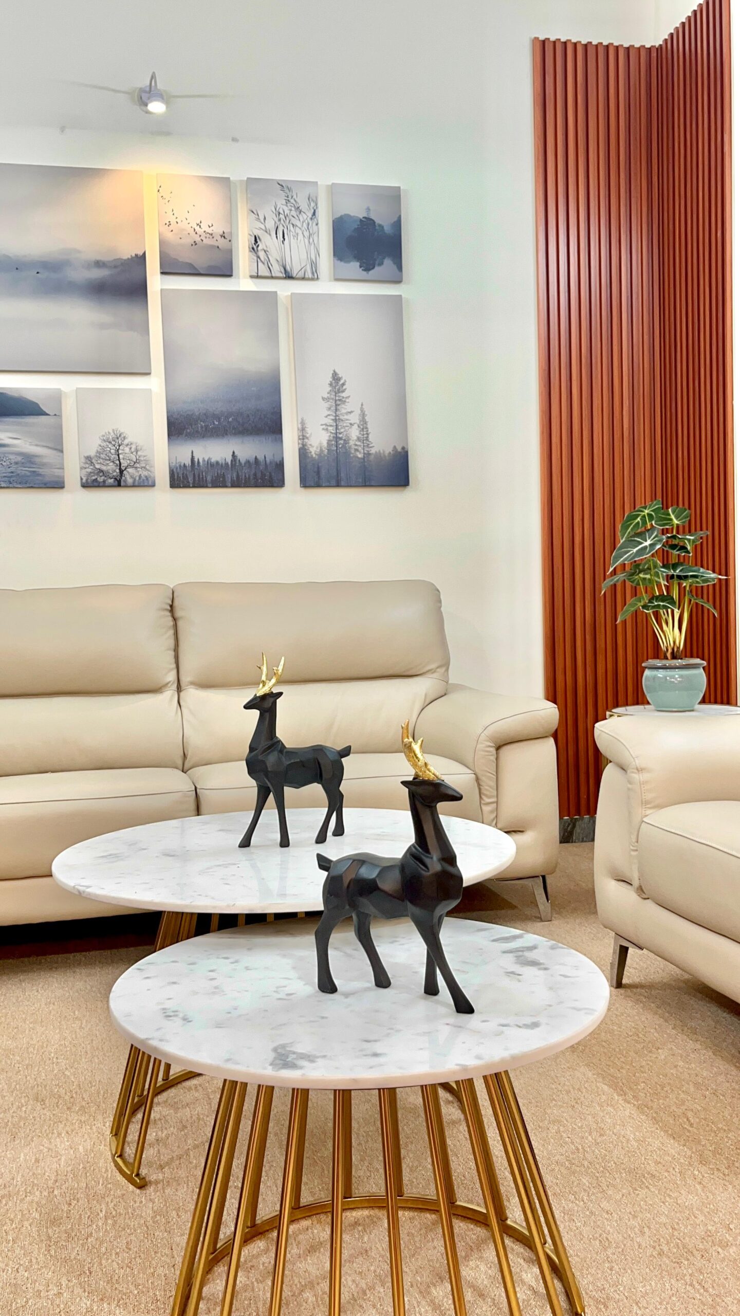 WhatsApp Image 2026-02-25 at 3.28.18 PM (2)