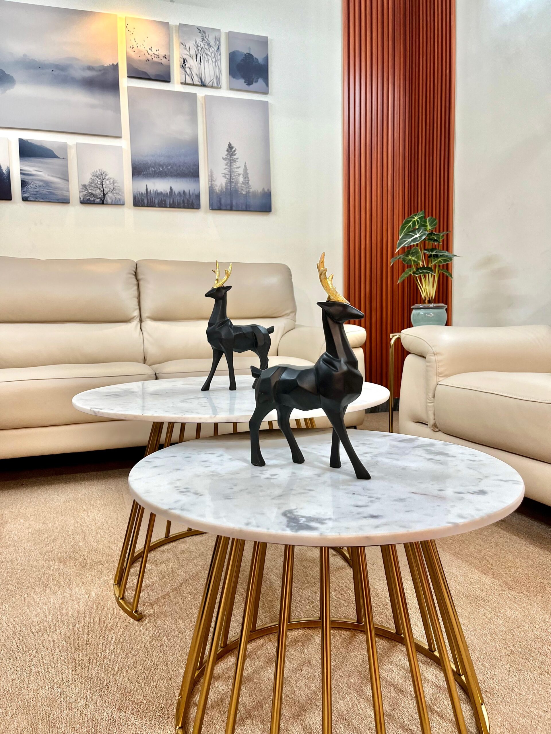 WhatsApp Image 2026-02-25 at 3.28.18 PM